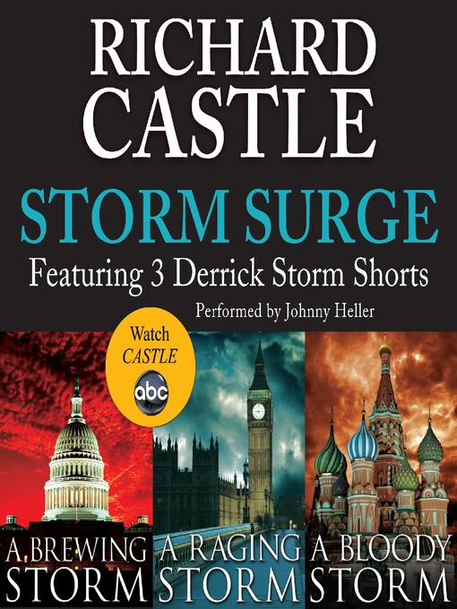 Title details for Storm Surge by Richard Castle - Wait list